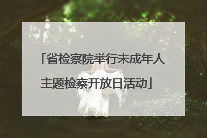 省检察院举行未成年人主题检察开放日活动